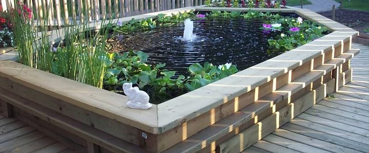 Tips for creating a garden fish pond